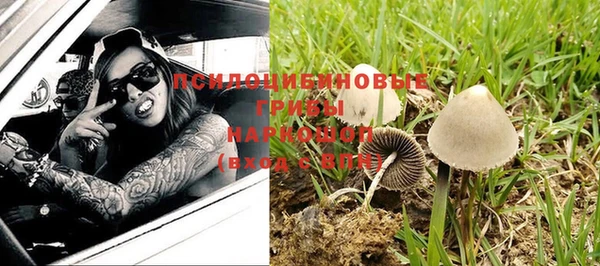 a pvp Новозыбков