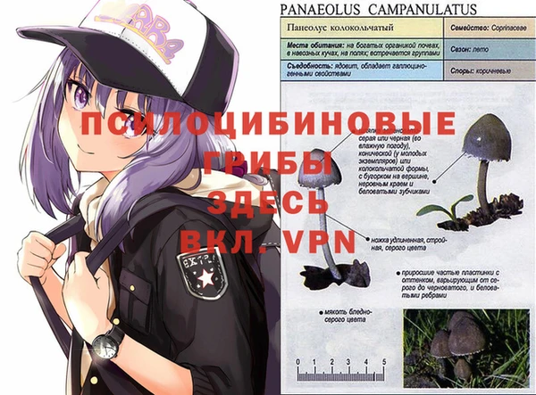 синтетический гашиш Нея