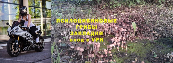 ПСИЛОЦИБИНОВЫЕ ГРИБЫ Нефтегорск