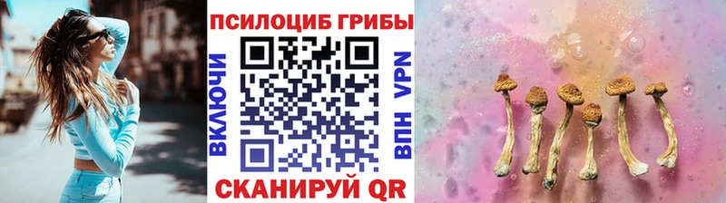 купить наркотики цена  сайты даркнета официальный сайт  кракен онион  Псилоцибиновые грибы ЛСД  Энем 