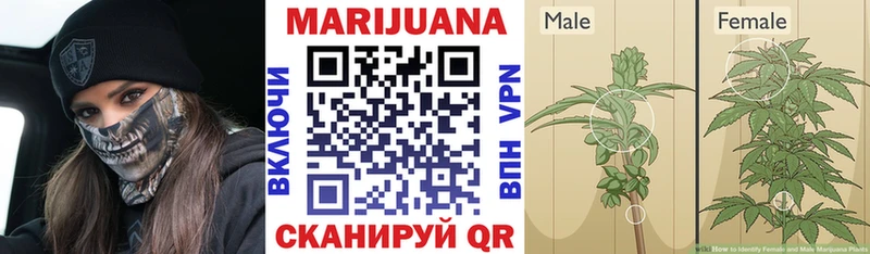 MEGA ТОР  наркотики  Энем  Конопля THC 21% 
